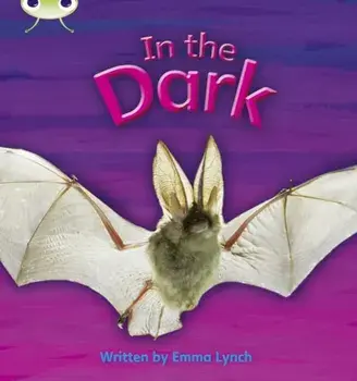 Bug Club Phonics Non Fiction Reception Phase 3 Set 10 In the Dark, Paperback/Emma Lynch