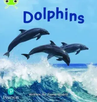 Bug Club Phonics Non-Fiction Year 1 Phase 5 Unit 13 Dolphins, Paperback/Fiona Undrill