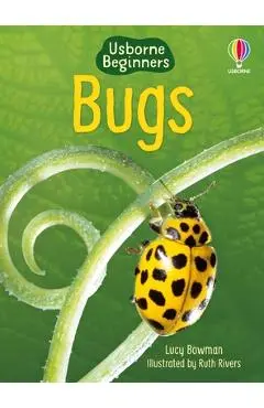 Bugs - Lucy Bowman