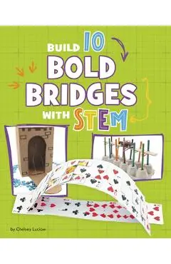 Build 10 Bold Bridges with Stem - Chelsey Luciow