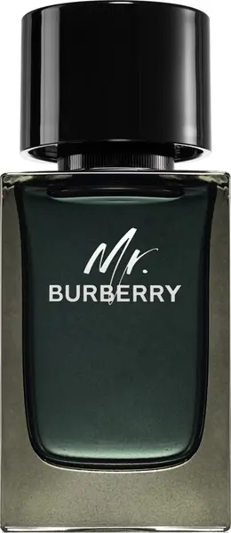 Burberry Apă de parfum Mr. Burberry, 100 ml, tester