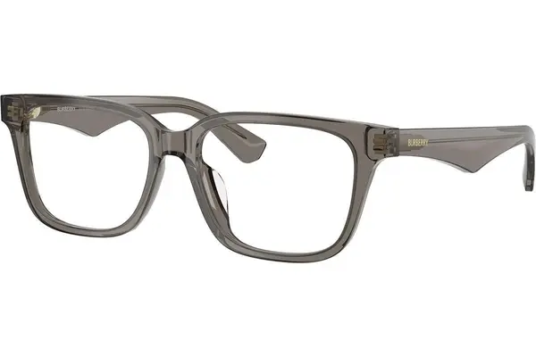 Burberry BE2425D 4242