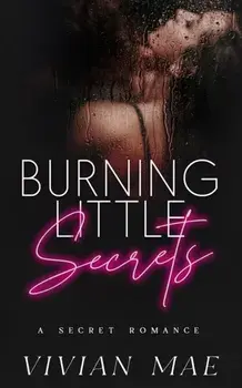 Burning Little Secrets, Paperback/Vivian Mae