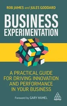 Business Experimentation: A Practical Guide for Driving Innovation and Performance in Your Business, Hardcover/Rob James