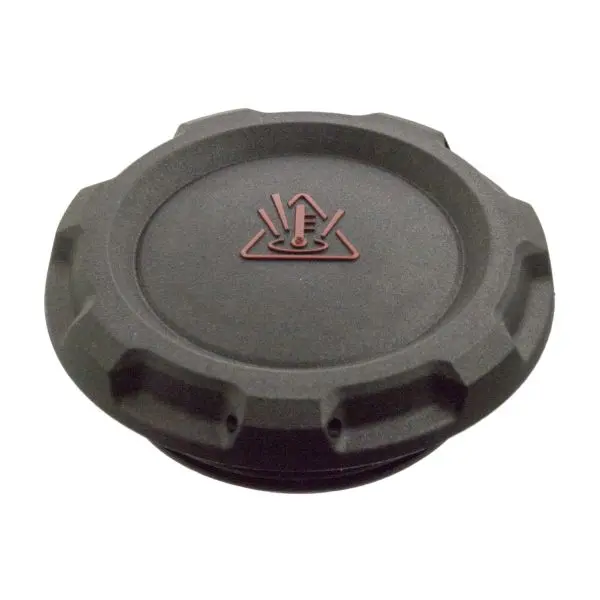 Buson vas expansiune (1,6bar) potrivit AUDI A1, A1 ALLSTREET, A1 CITY CARVER, A3, A6 C8, Q2, Q3, Q4, Q5, TT; CUPRA ATECA, BORN, FORMENTOR, LEON, LEON SPORTSTOURER 1.0-Electric 08.05-