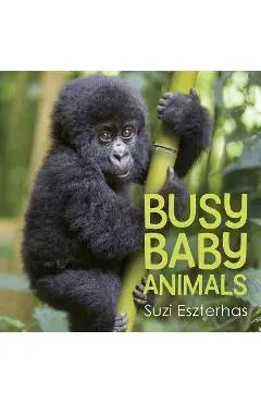 Busy Baby Animals - Suzi Eszterhas