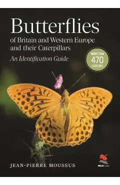 Butterflies of Britain and Western Europe and Their Caterpillars - Jean-pierre Moussus