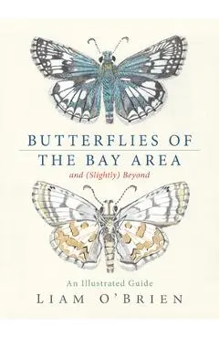 Butterflies of the Bay Area and (Slightly) Beyond: An Illustrated Guide - Liam O'brien