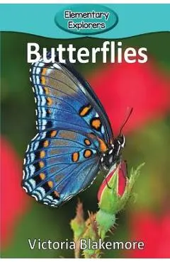 Butterflies - Victoria Blakemore