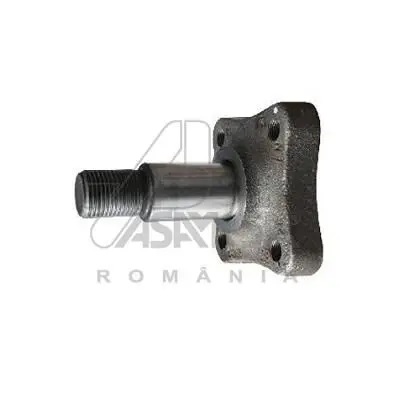 Butuc roata ASAM AUTOMOTIVE 30319