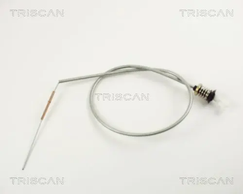 Cablu acceleratie TRISCAN 8140 25307