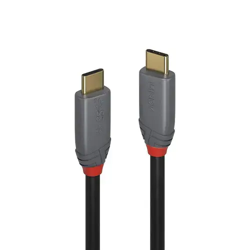 Cablu Lindy USB C-USB C, 2 m (Negru)