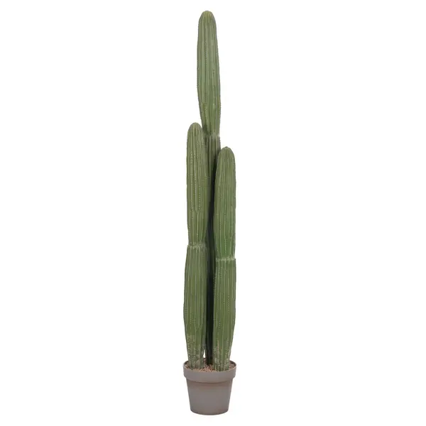 Cactus ARLET 144 CM - Default Title