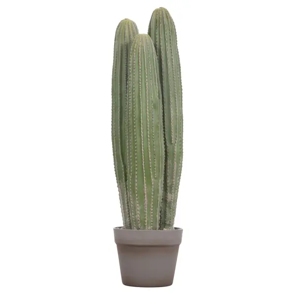 Cactus LELO 62 CM - Default Title