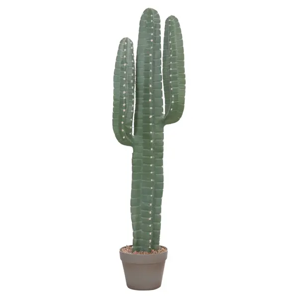 Cactus LETRA 103 CM - Default Title