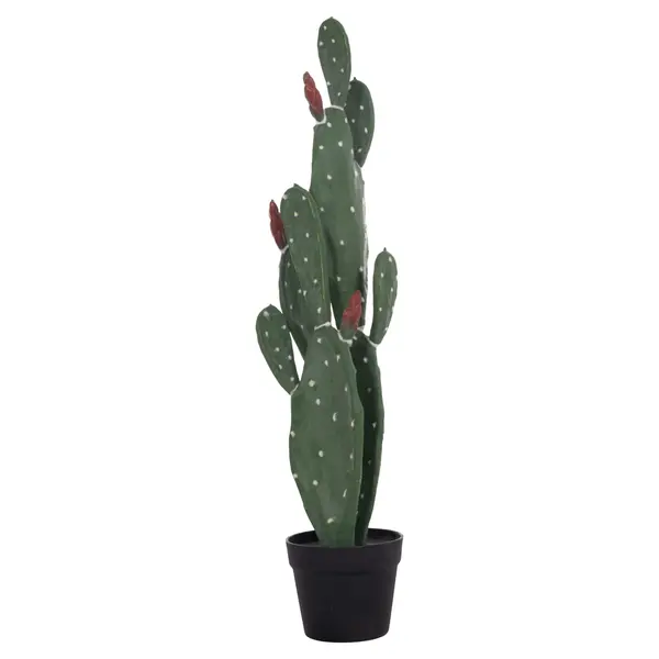 Cactus RUSPA 85 CM - Default Title