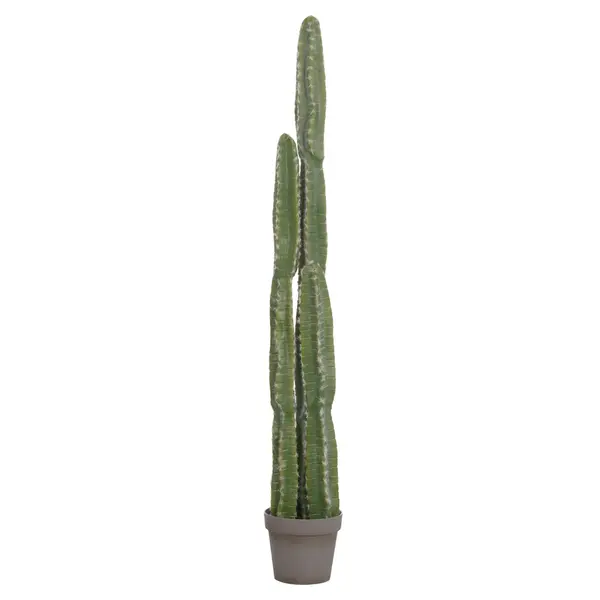 Cactus VEBER 141 CM - Default Title