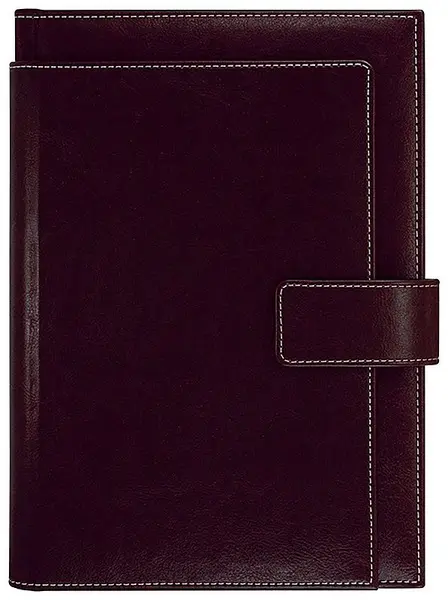 Caiet-agenda din piele Lemax Novaskin - Bordo, В5 Exclusive