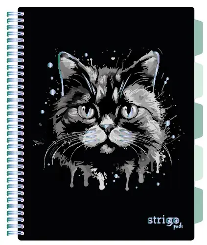 Caiet cu Spirala si Separatoare Strigo Pads Project Book PISICA A4, Matematica