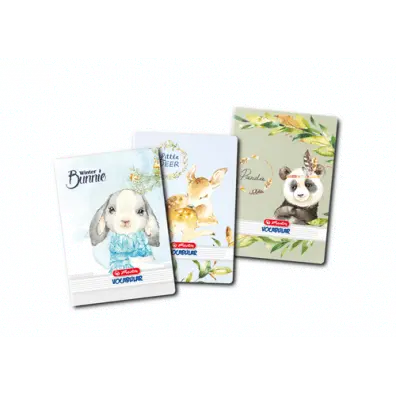 Caiet vocabular capsat 24 file Caiet vocabular capsat 24 file