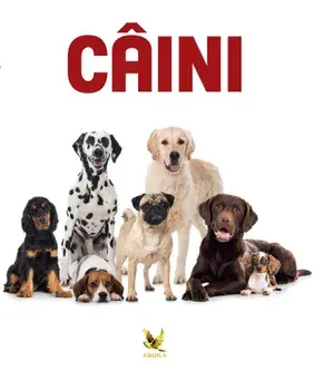 Caini/***