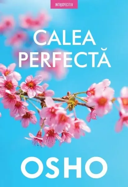 Calea perfectă