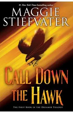 Call Down the Hawk (the Dreamer Trilogy, Book 1), 1 - Maggie Stiefvater
