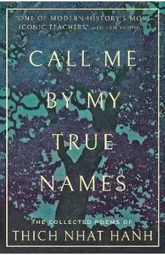 Call Me by My True Names: The Collected Poems - Thich Nhat Hanh