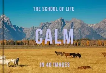 Calm in 40 Images. The art of finding serenity, Hardback/The School of Life