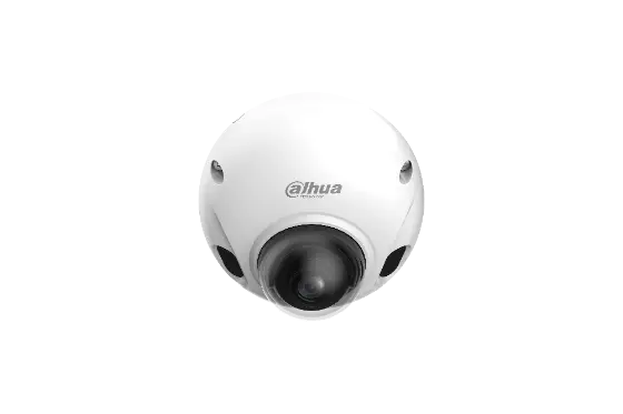 Camera supraveghere IP Dahua Dome 2MP, IR 20m, lentila fixa 2.1mm, microfon, PoE, microSD 256GB, IP67, IK10 - DAE-CPC5241FPN-0210B