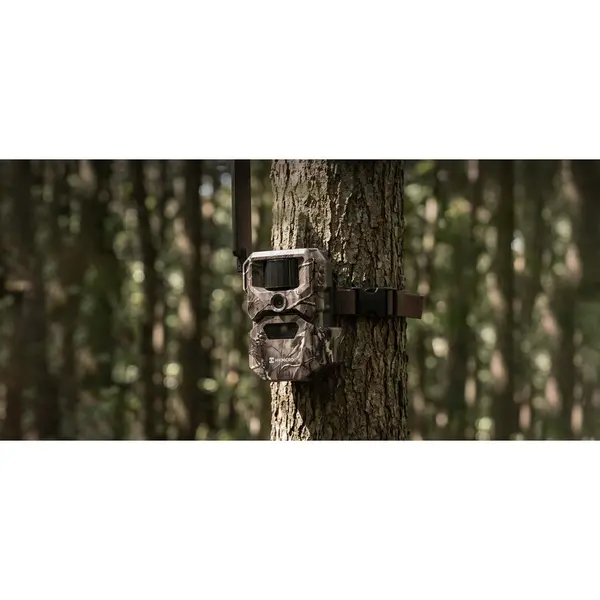 Camera Vanatoare T16 4G