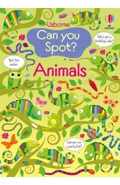 Can You Spot? Animals - Kirsteen Robson