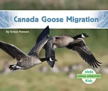 Canada Goose Migration, Library Binding/Grace Hansen