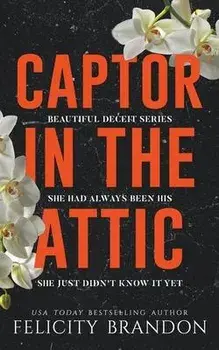 Captor In The Attic, Paperback/Felicity Brandon