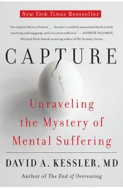 Capture: Unraveling the Mystery of Mental Suffering - David A. Kessler