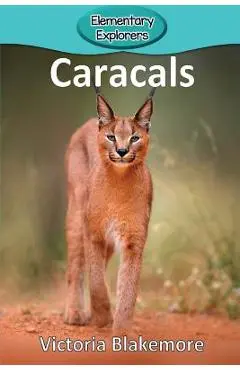 Caracals - Victoria Blakemore