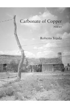 Carbonate of Copper - Roberto Tejada