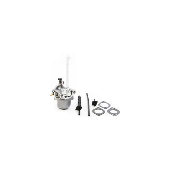 Carburator Briggs-Stratton (696737, 793161, 794593, 796122) ORIGINAL
