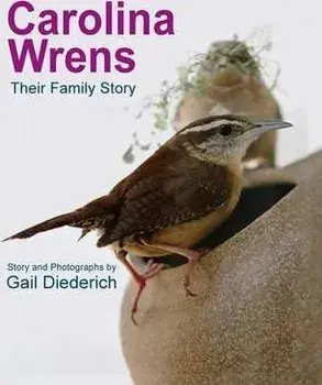 Carolina Wrens: Their Family Story, Paperback/Gail Diederich