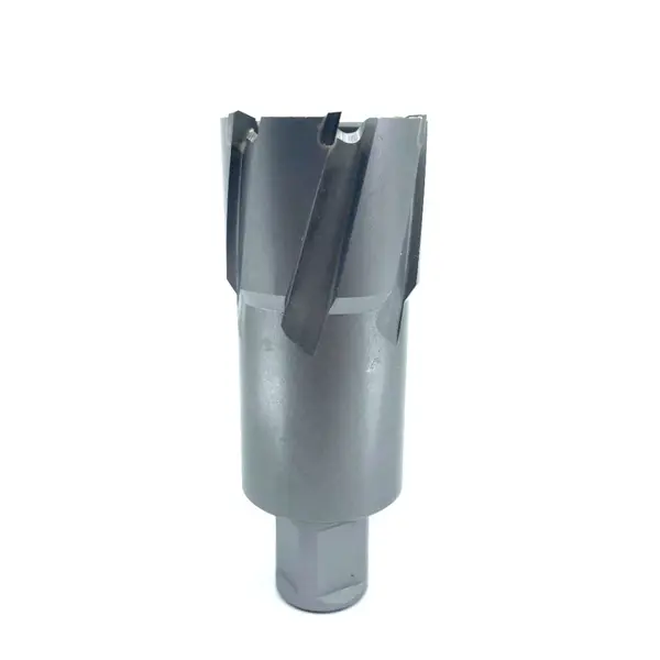 Carota pt. otel din carbura de tungsten, ⌀ 36mm, h=50mm, cu prindere Weldon - DXDY.P-TCT-50.36.W