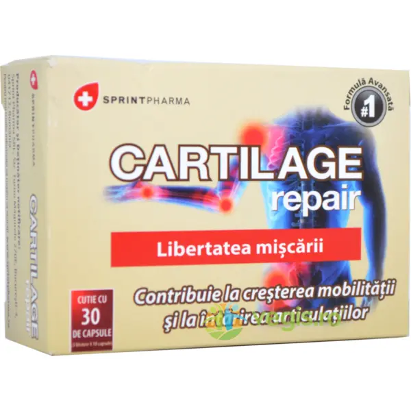 Cartilage Repair 30cps