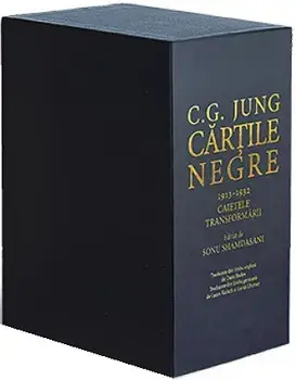 Cartile negre/C.G. Jung