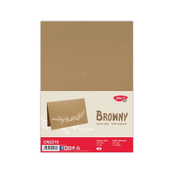 Carton natur A4, 220g/mp, 10coli/set, Daco