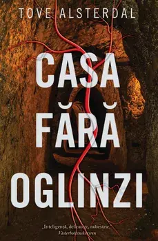 Casa fara oglinzi/Tove Alsterdal