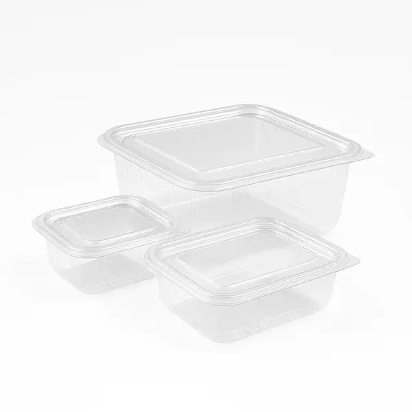 Caserolă PET 375 cc cu capac atașat ECO, transparentă – Set 100 buc Caserolă PET 375 cc cu capac atașat ECO, transparentă – Set 100 buc