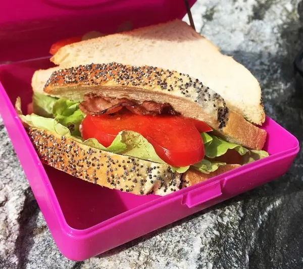 Caserola sandwich Carl Oscar gri