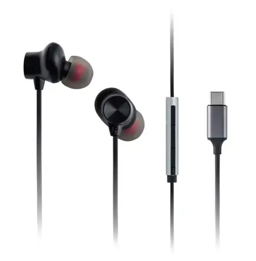 Casti Stereo Panasonic RP-TCM225DEK, Microfon, USB-C (Negru)
