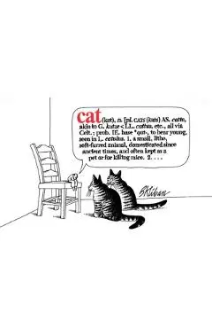 Cat - B. Kliban