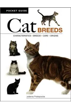 Cat Breeds - Julianna Photopoulos