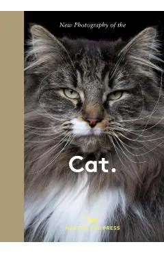 Cat. - Hoxton Mini Press